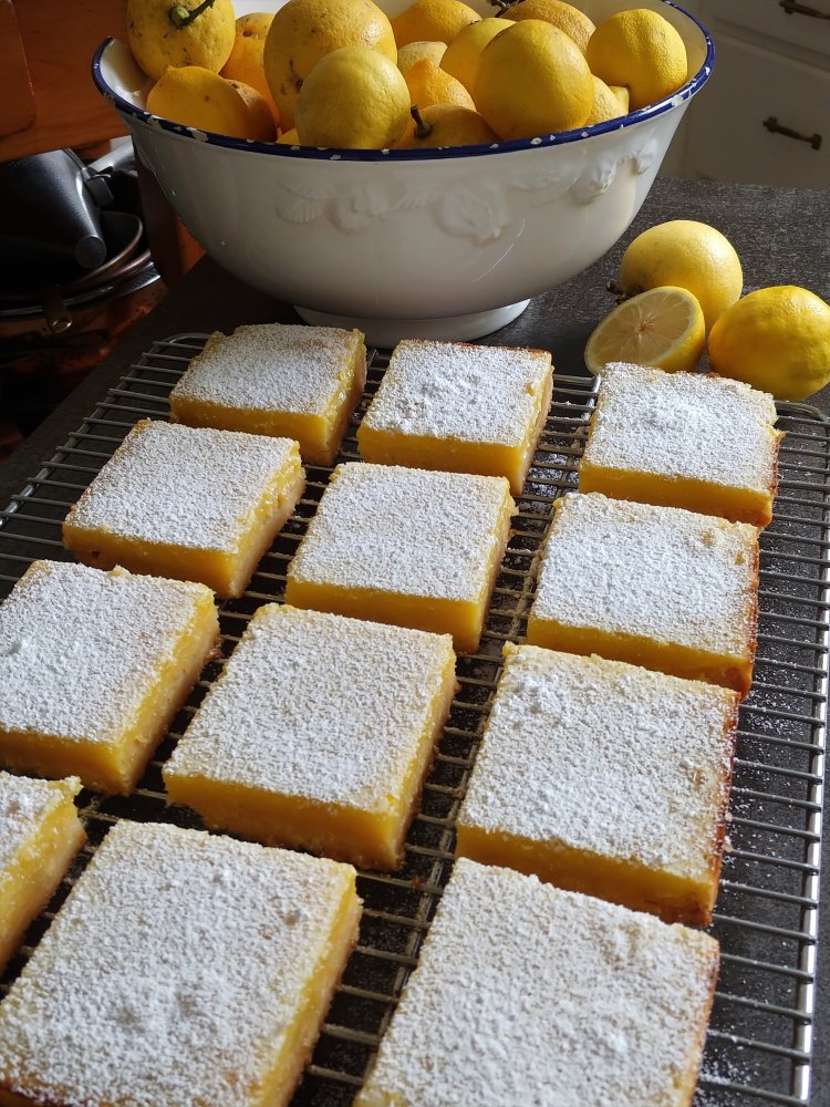 Lemon Bars