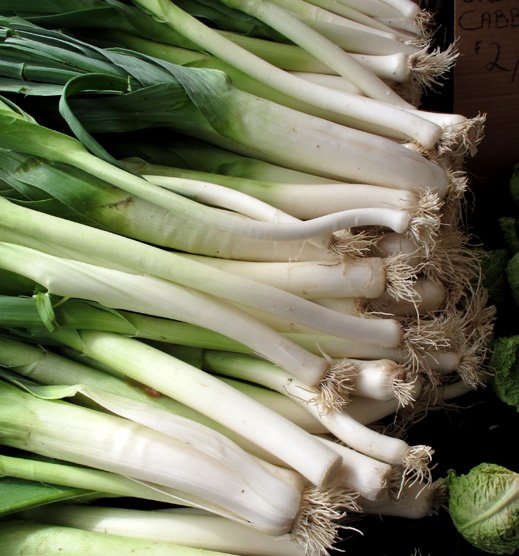 Leek and Stilton Soup