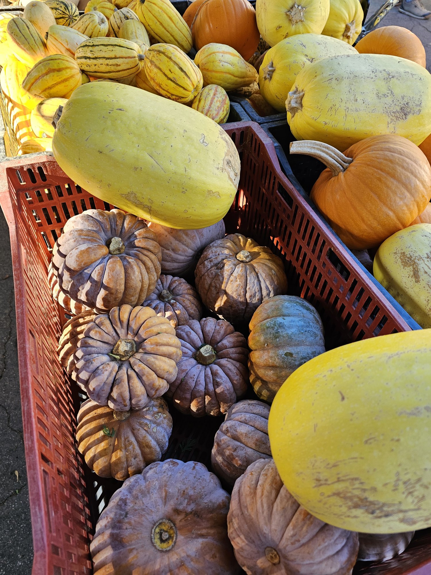 Farmer's Market Tour, Cooking Class and Lunch