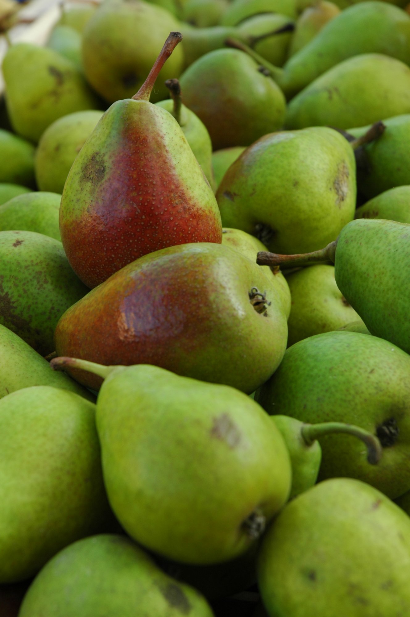 Farmer's Market Tour, Cooking Class and Lunch